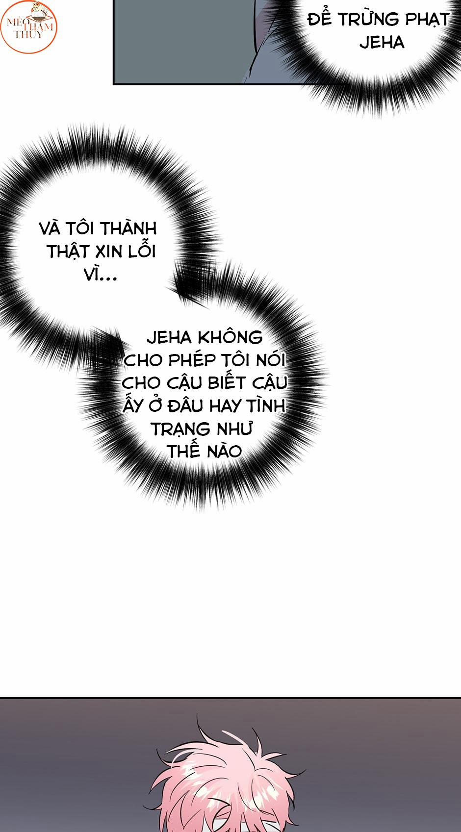 Cặp Đôi Điên Rồ 52 trang 27