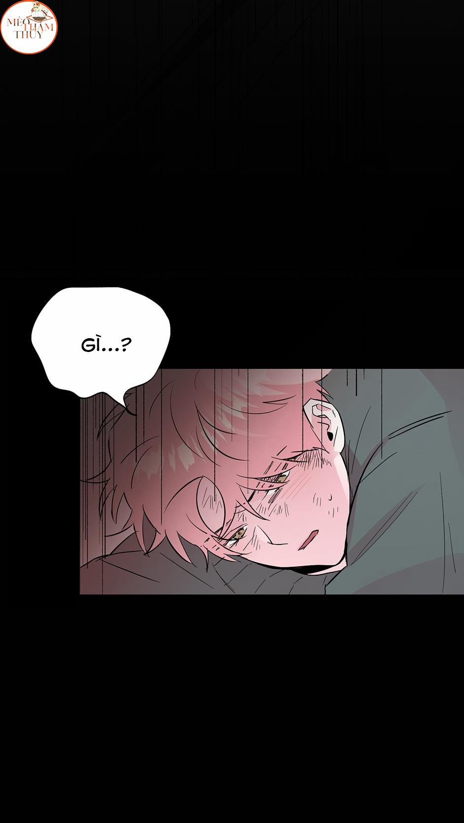 Cặp Đôi Điên Rồ 52 trang 4