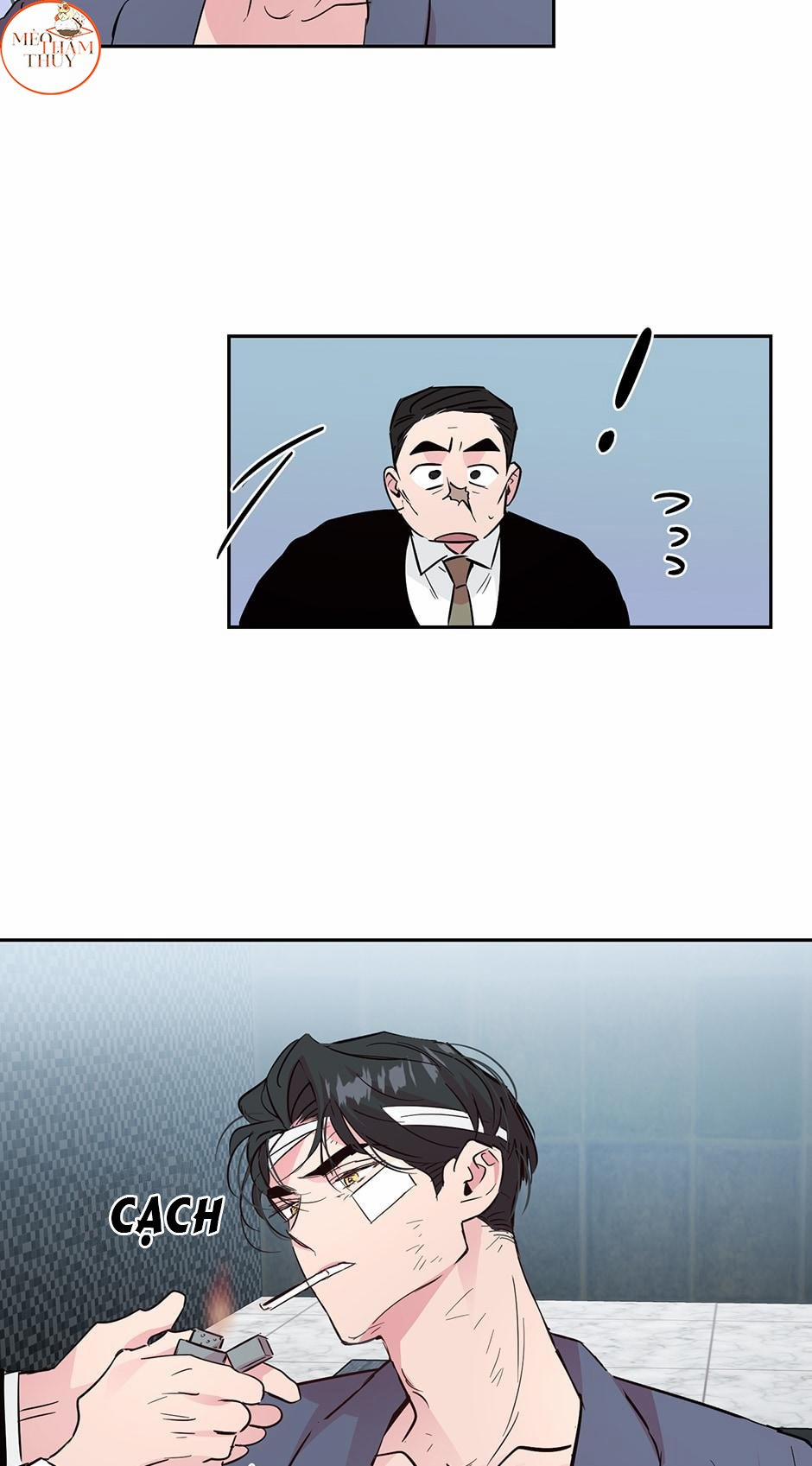 Cặp Đôi Điên Rồ 52 trang 41