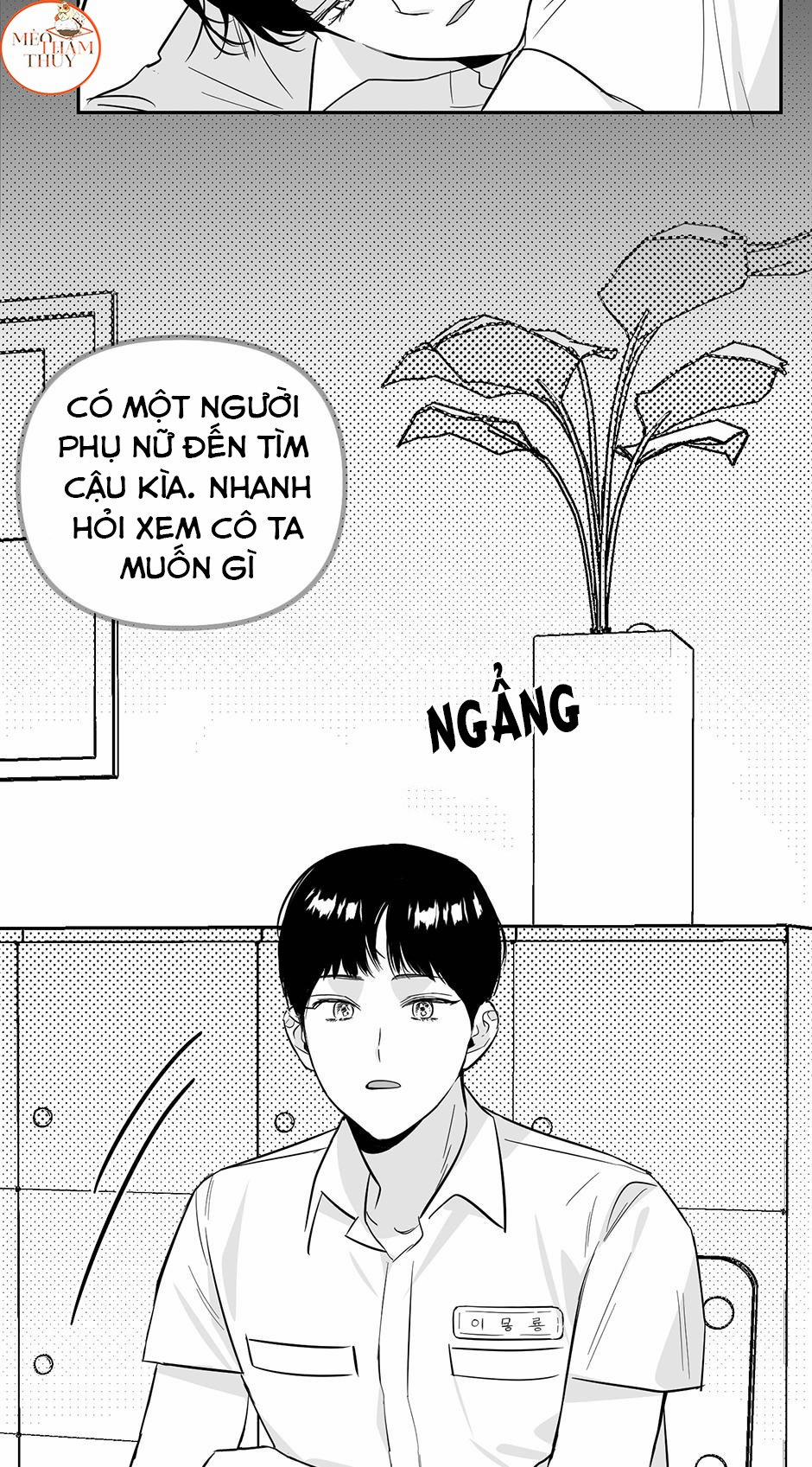 Cặp Đôi Điên Rồ 52 trang 7