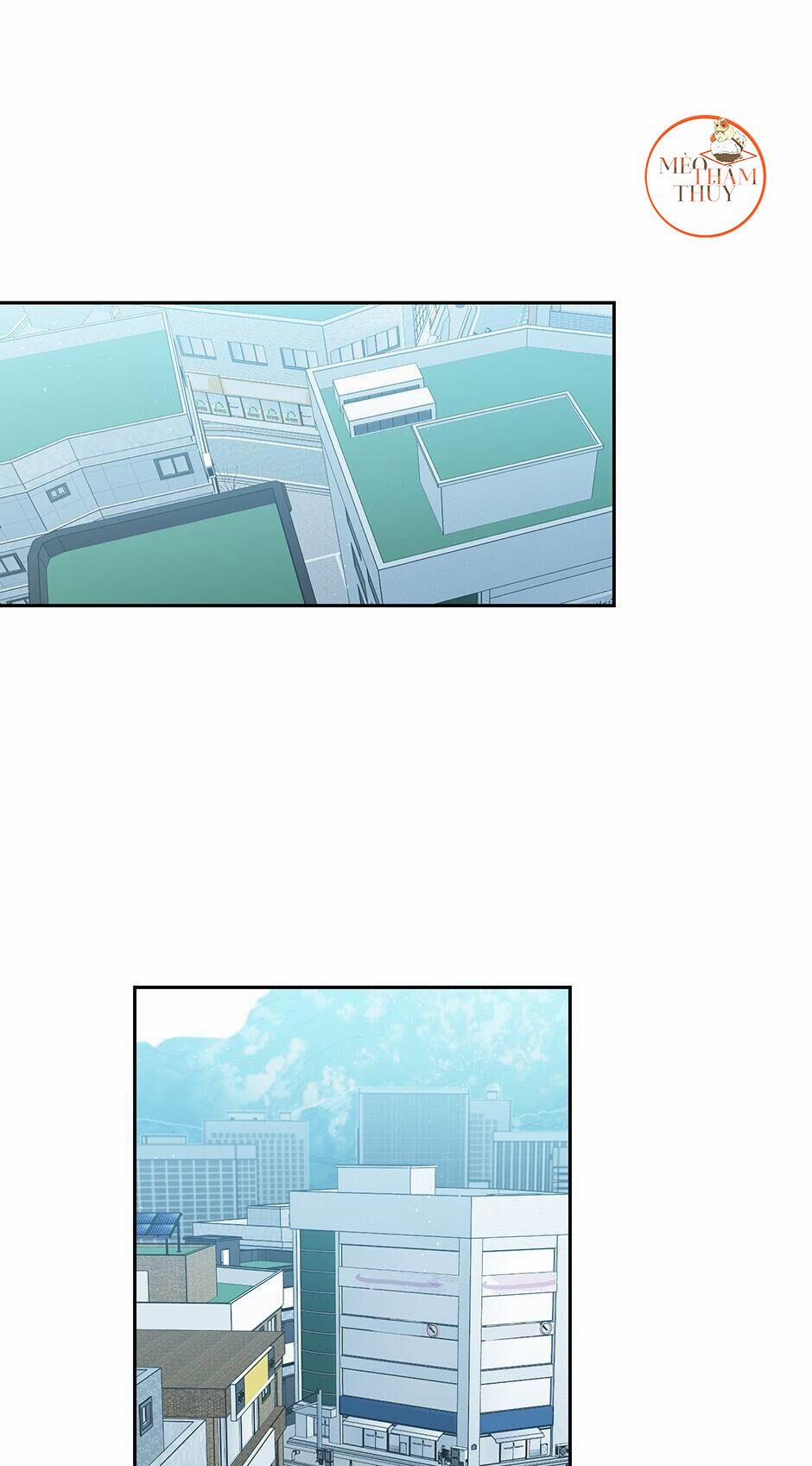 Cặp Đôi Điên Rồ 53 trang 0