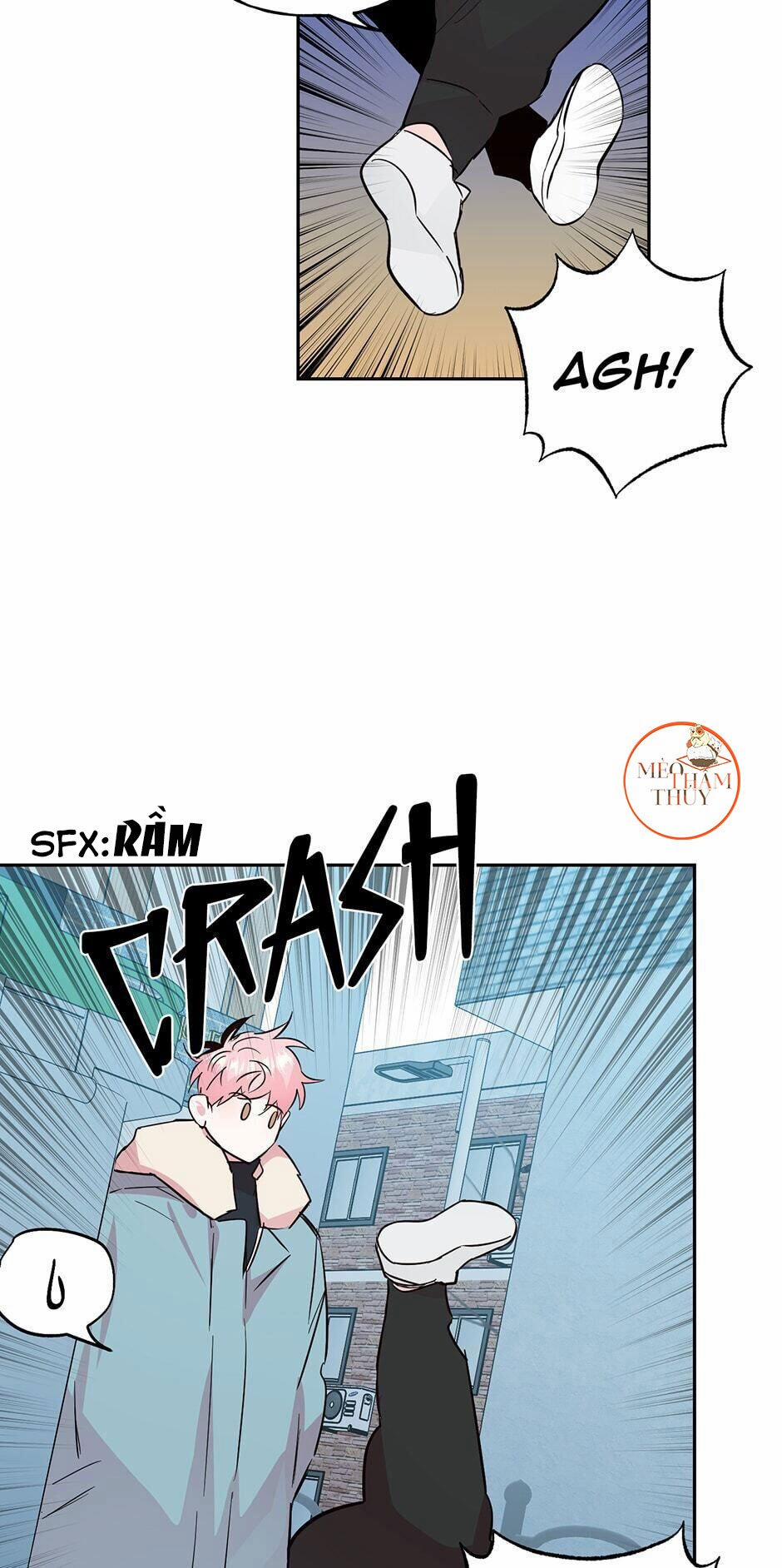 Cặp Đôi Điên Rồ 53 trang 12