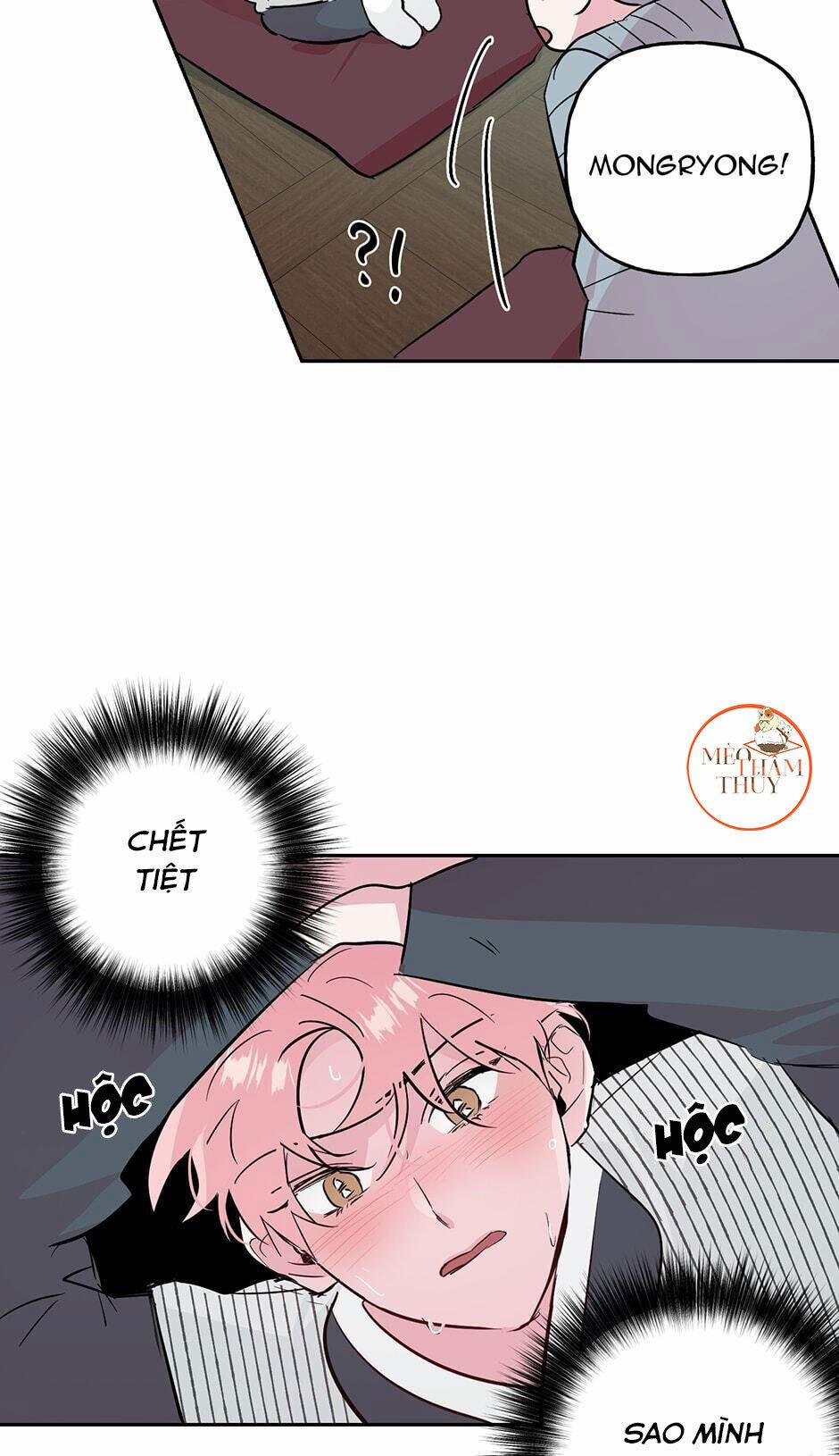 Cặp Đôi Điên Rồ 54 trang 42