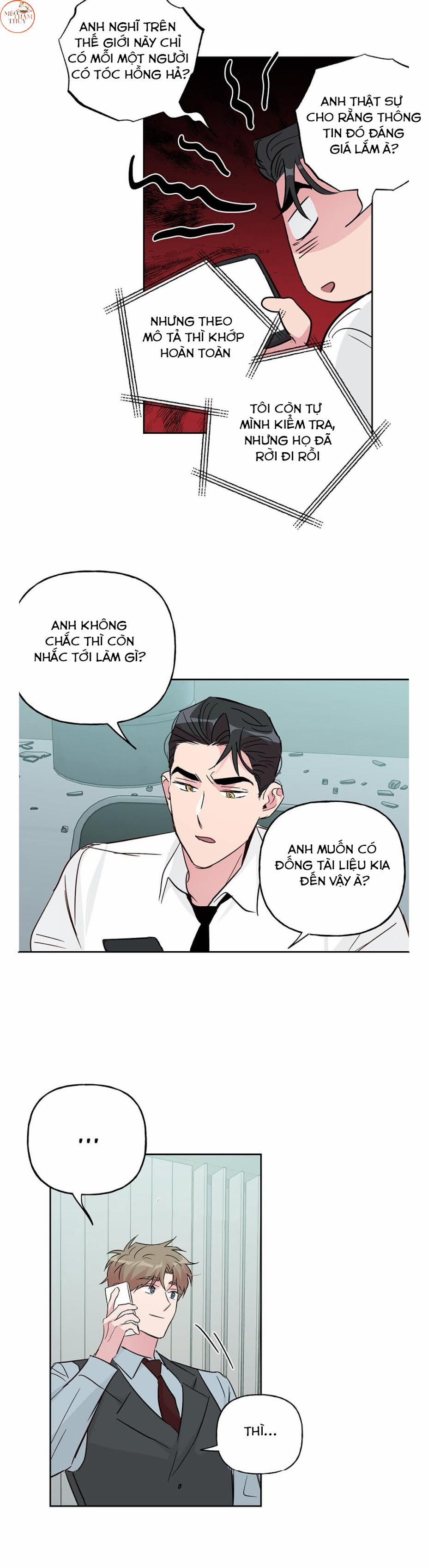 Cặp Đôi Điên Rồ 58 trang 17