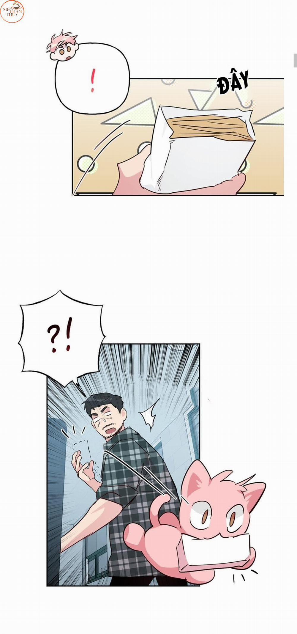 Cặp Đôi Điên Rồ 59 trang 11