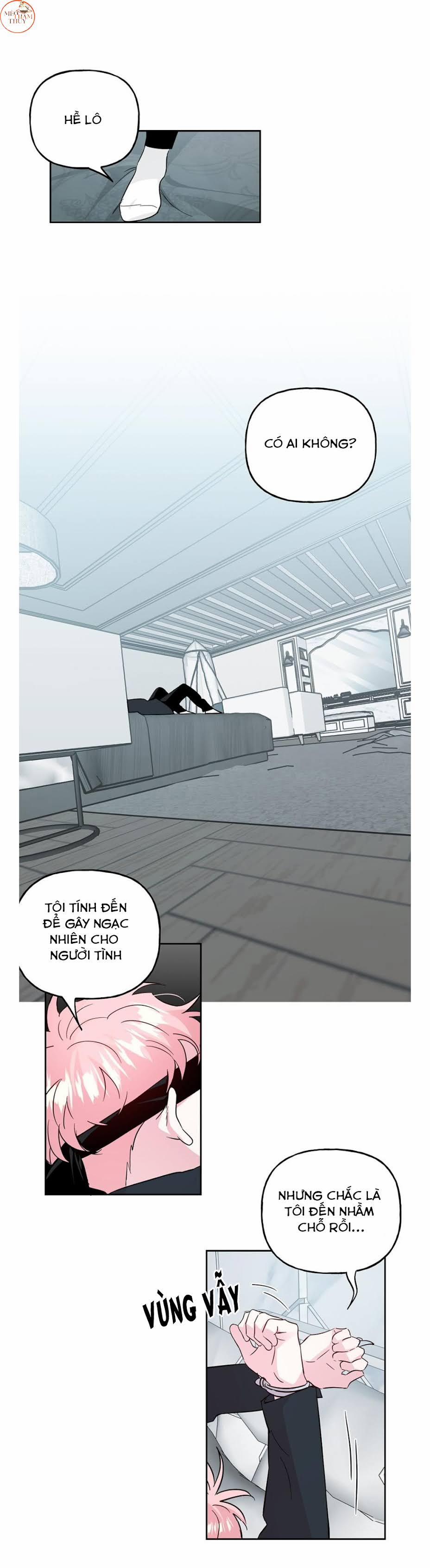 Cặp Đôi Điên Rồ 60 (Hết) trang 1