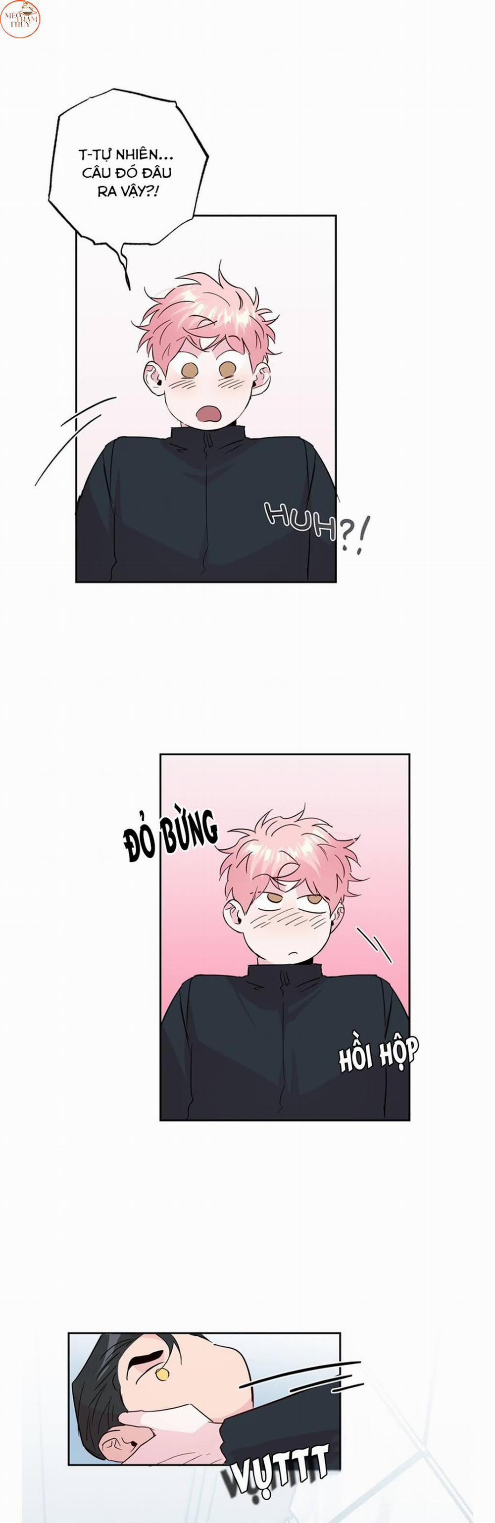 Cặp Đôi Điên Rồ 60 (Hết) trang 17