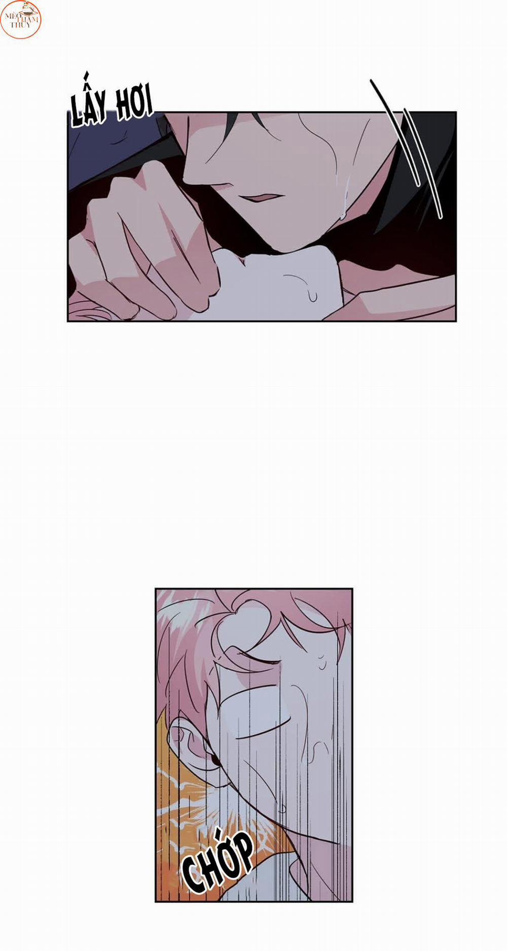 Cặp Đôi Điên Rồ 60 (Hết) trang 21