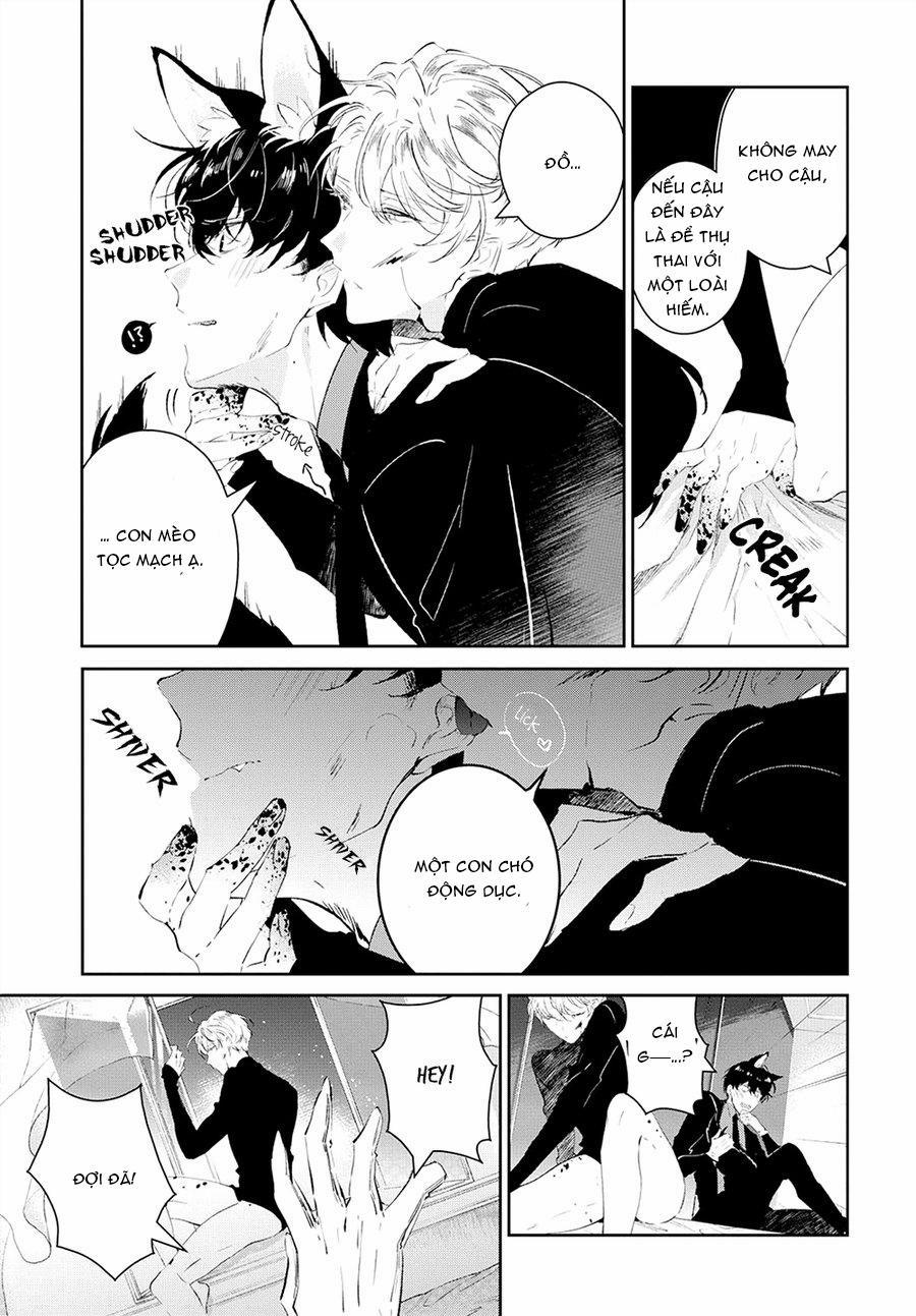 Castehate 1 trang 29
