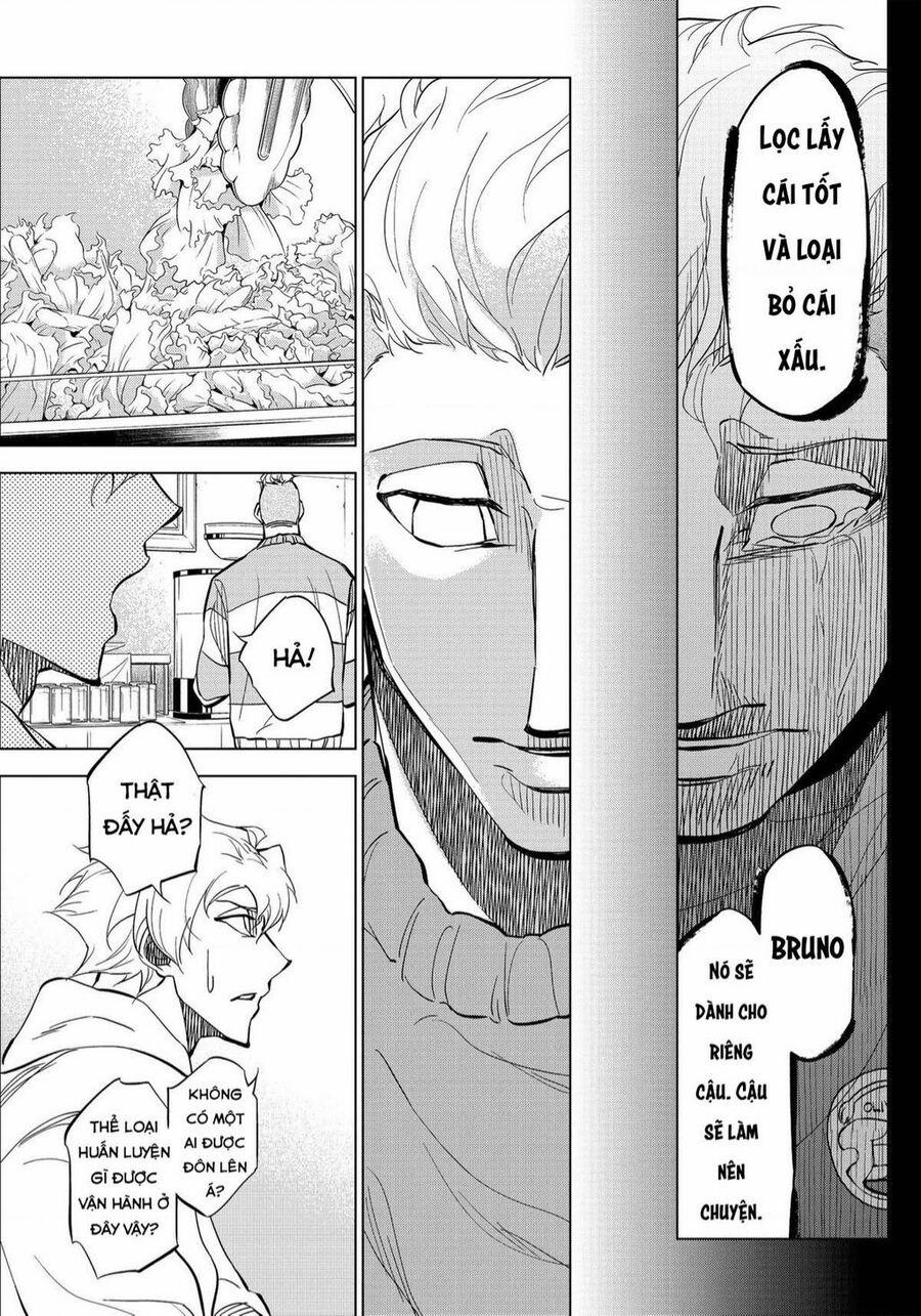 Catnaccio 16 trang 2