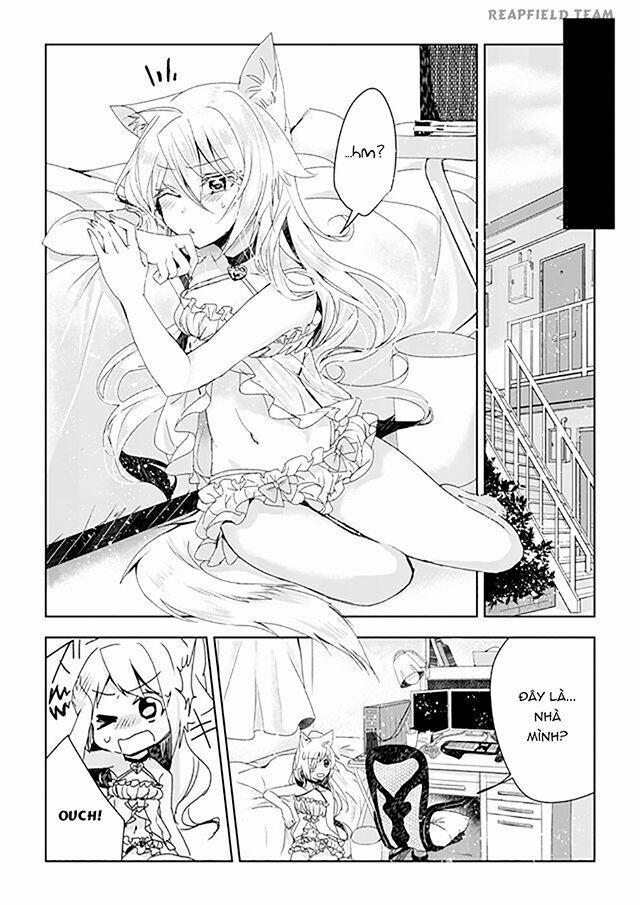 Catulus Syndrome 1 trang 21