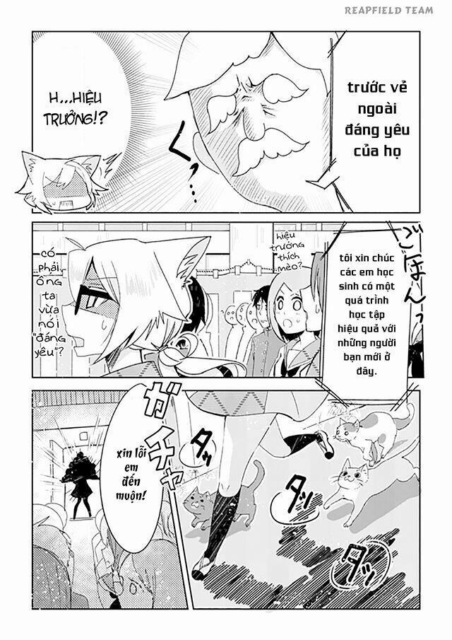 Catulus Syndrome 1 trang 6