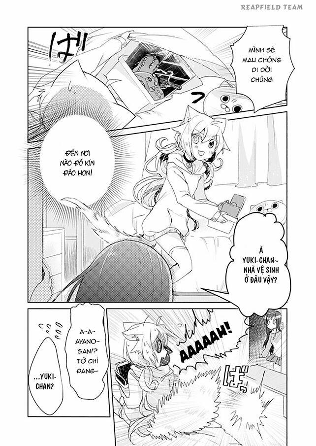 Catulus Syndrome 3 trang 10