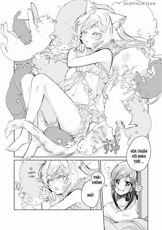 Catulus Syndrome 4 trang 12