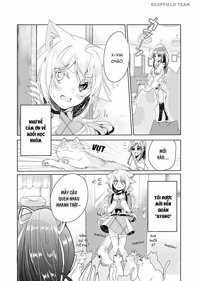 Catulus Syndrome 4 trang 2