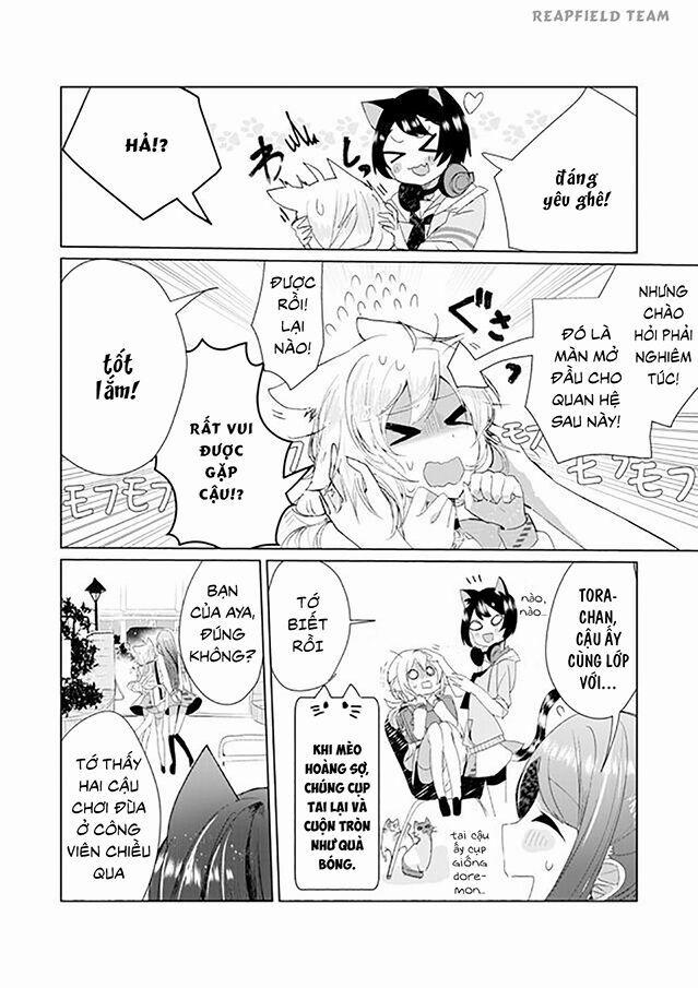 Catulus Syndrome 6 trang 6