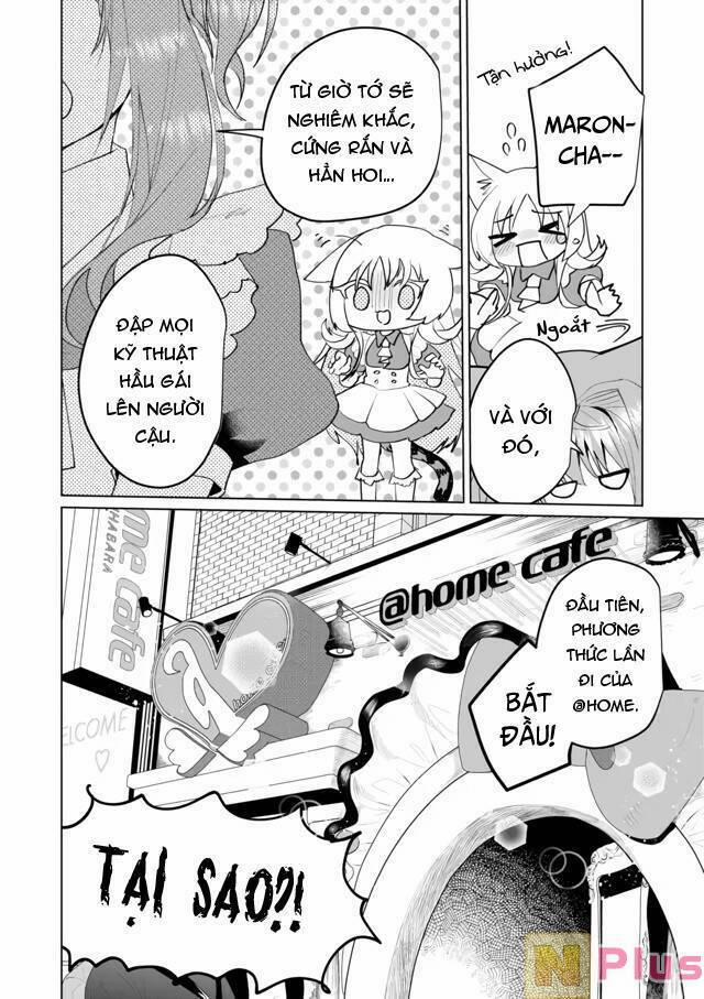 Catulus Syndrome 60 trang 11