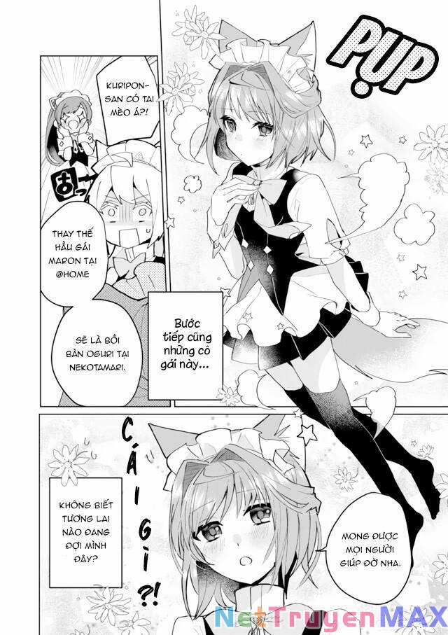 Catulus Syndrome 65 trang 11