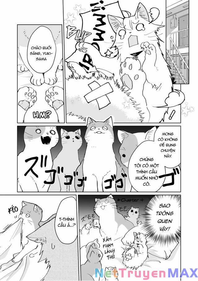 Catulus Syndrome 71 trang 3