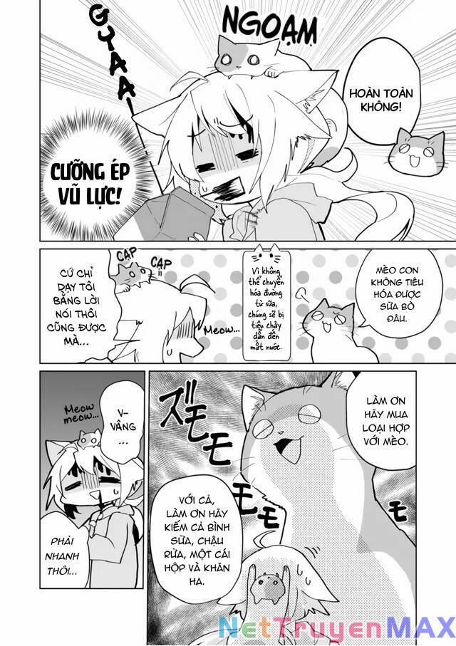 Catulus Syndrome 71 trang 8