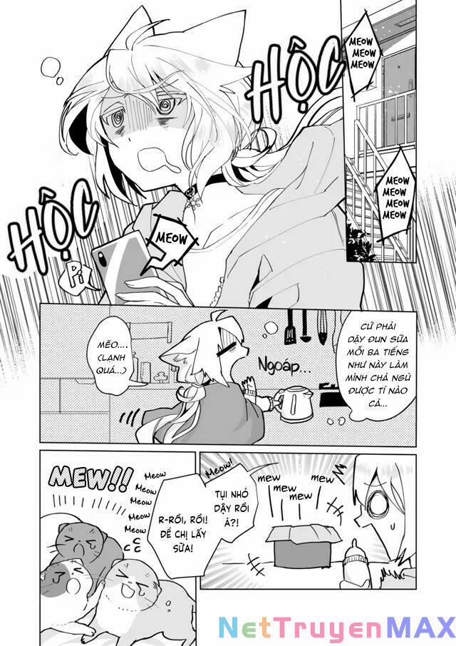 Catulus Syndrome 72 trang 1