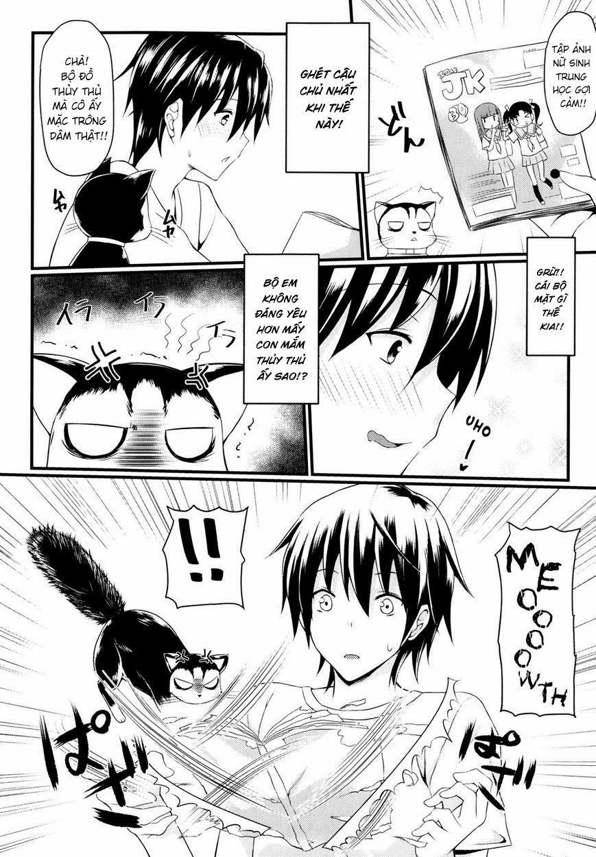 CatWooOman Oneshot trang 5