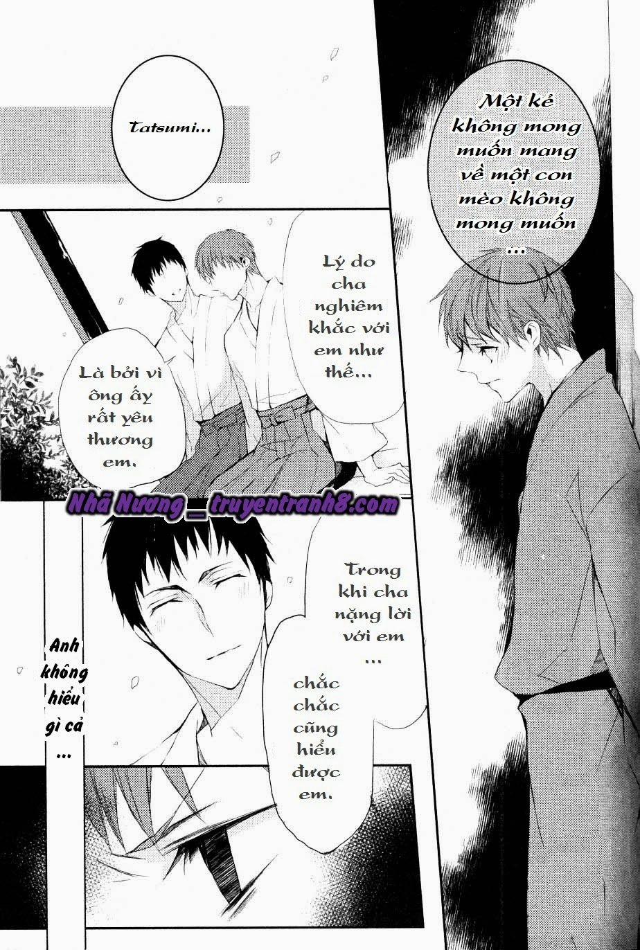 Câu Chuyện Ở Phố Hoa 5 trang 5