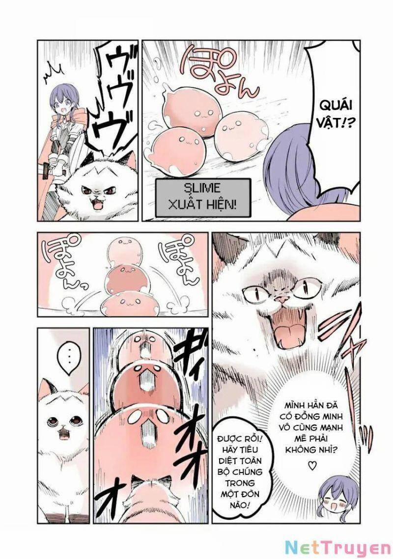 Câu Chuyện Về Một Bé Mèo Được Đầu Thai Ở Một Thế Giới Không Có Mèo 11 trang 4