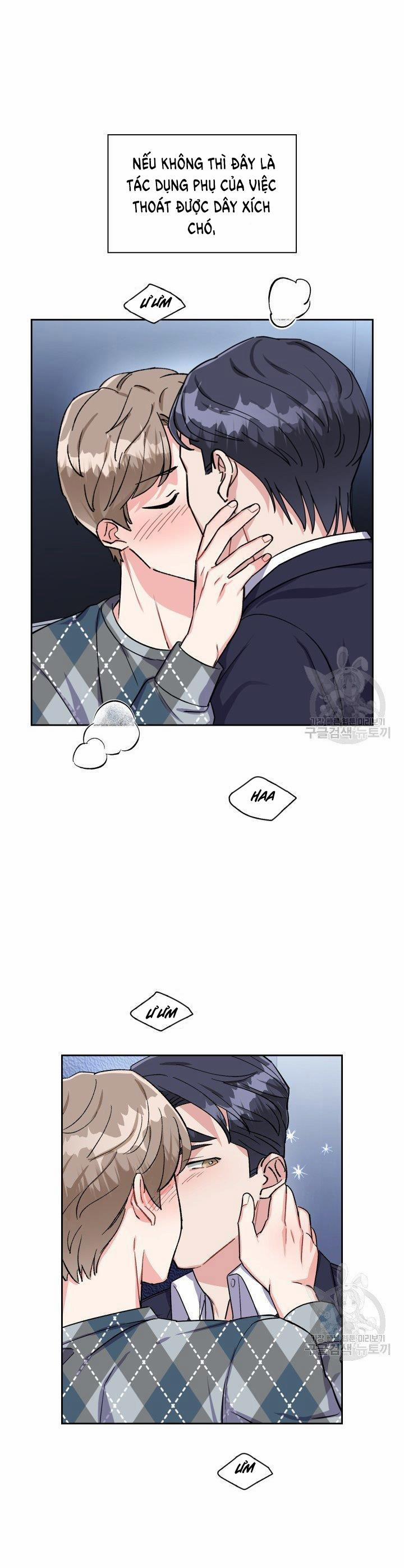 Cậu Có Cà Rốt Chứ? 11 trang 1