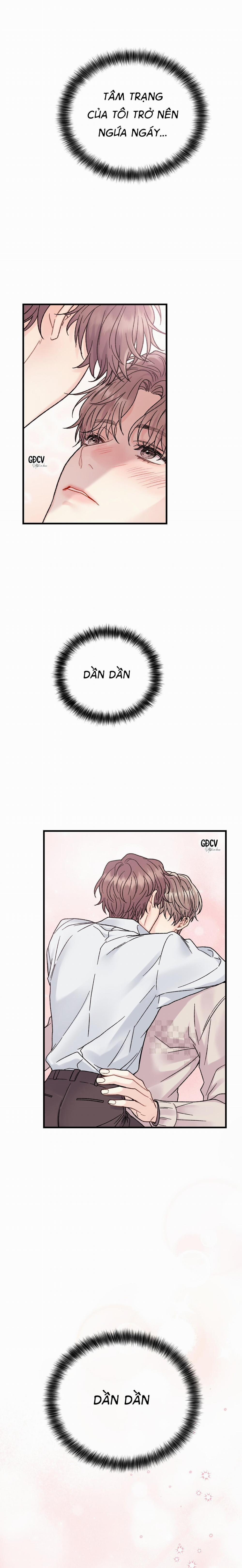 CẬU ĐÂU PHẢI LÀ GU CỦA TÔI? 3 0 trang 4