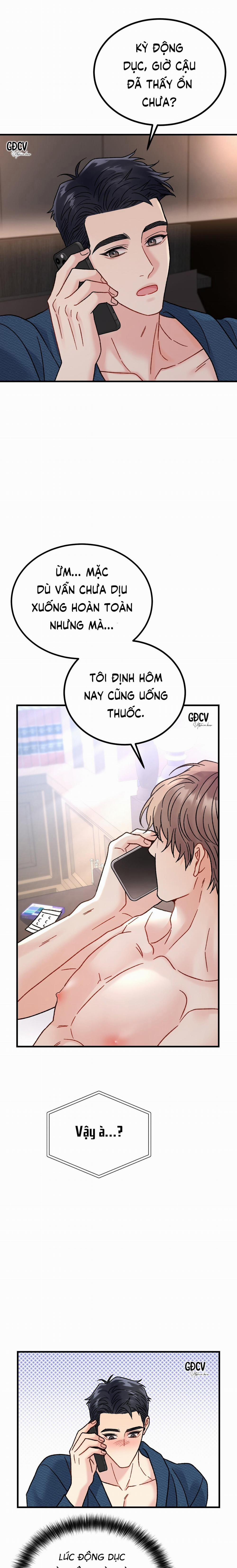 CẬU ĐÂU PHẢI LÀ GU CỦA TÔI? 4 trang 22