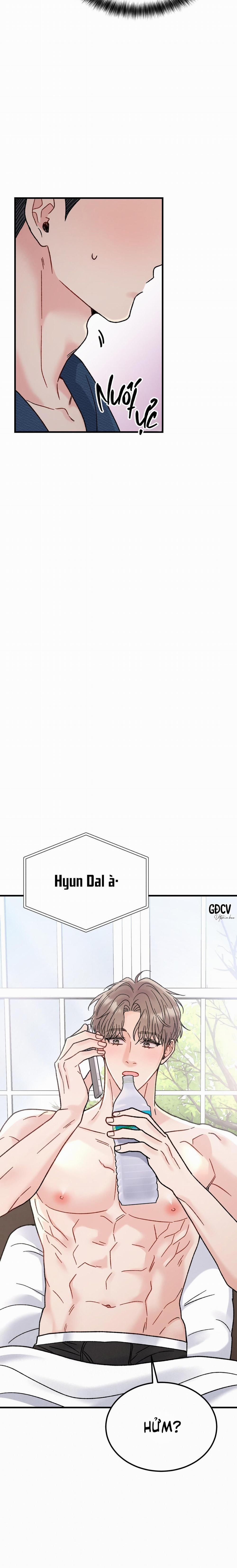 CẬU ĐÂU PHẢI LÀ GU CỦA TÔI? 4 trang 24