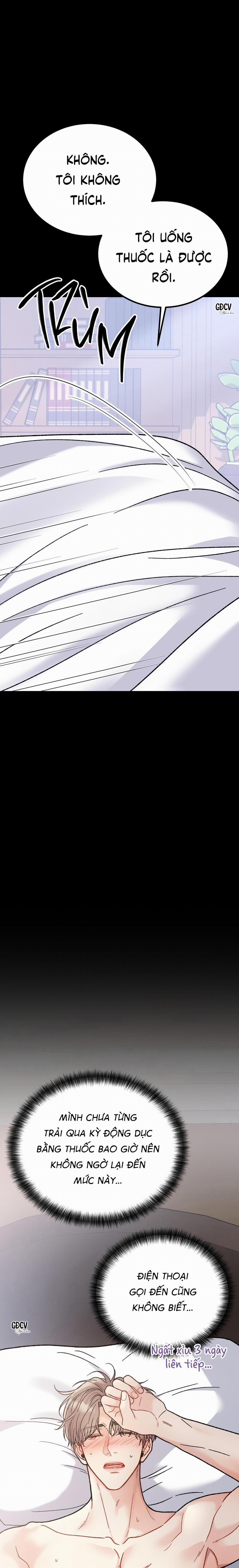 CẬU ĐÂU PHẢI LÀ GU CỦA TÔI? 4 trang 8