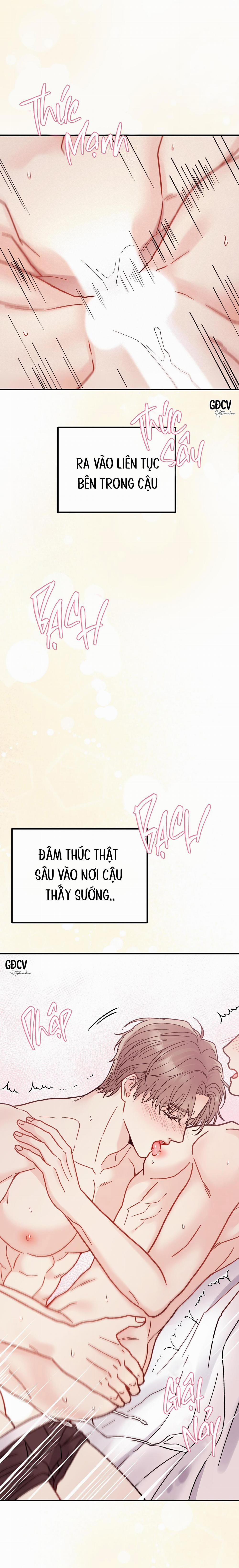 CẬU ĐÂU PHẢI LÀ GU CỦA TÔI? 5 0 trang 14