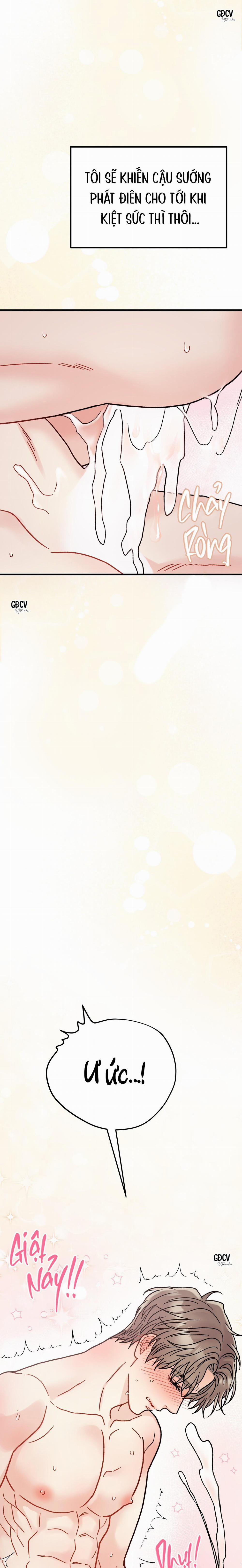 CẬU ĐÂU PHẢI LÀ GU CỦA TÔI? 5 0 trang 15