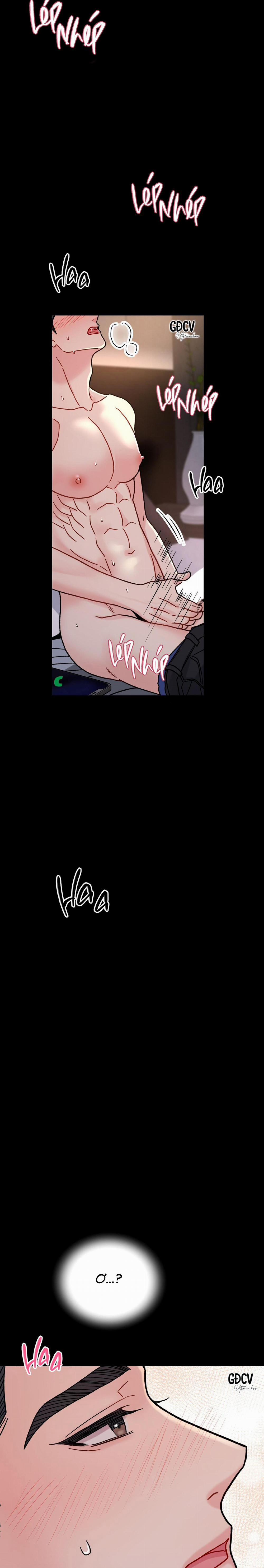 CẬU ĐÂU PHẢI LÀ GU CỦA TÔI? 5 0 trang 26