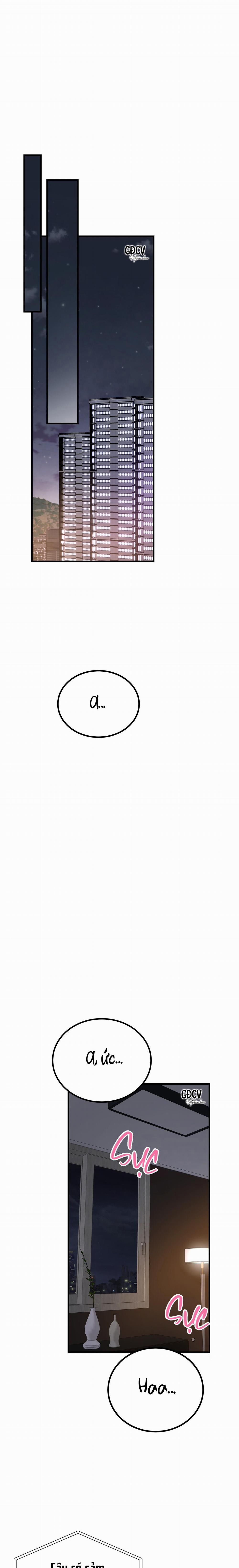 CẬU ĐÂU PHẢI LÀ GU CỦA TÔI? 6 0 trang 21