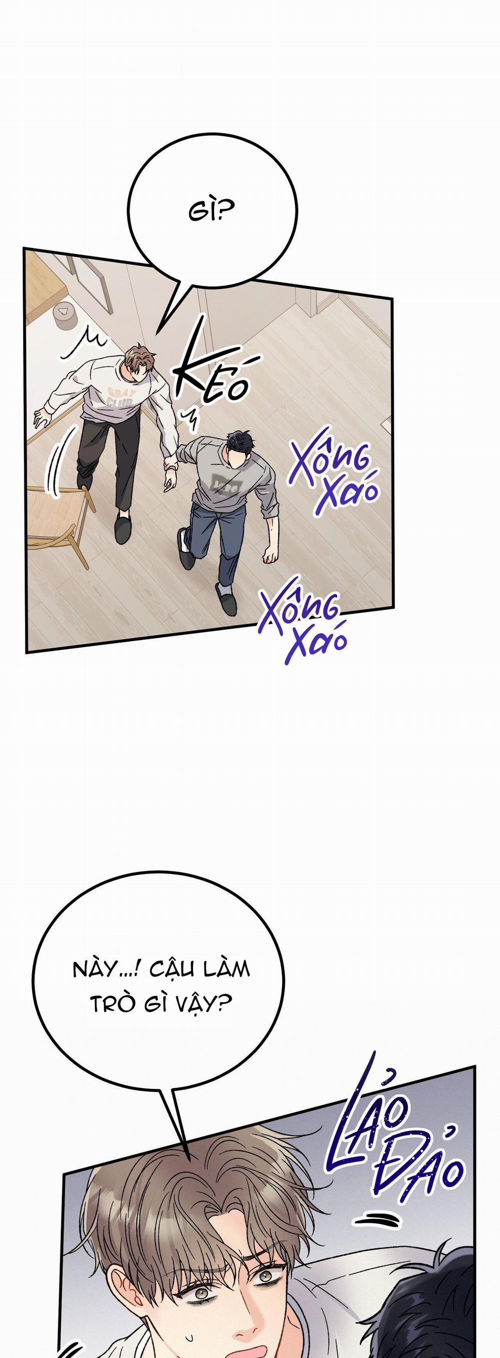 Cậu Không Phải Là Gu Của Tôi 13 trang 36