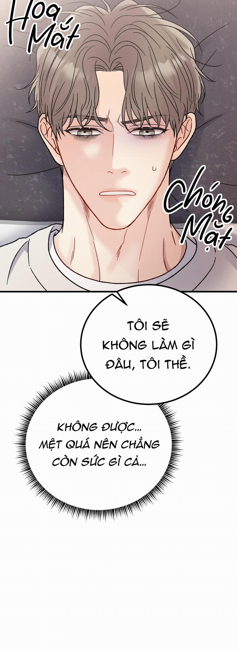 Cậu Không Phải Là Gu Của Tôi 13 trang 48