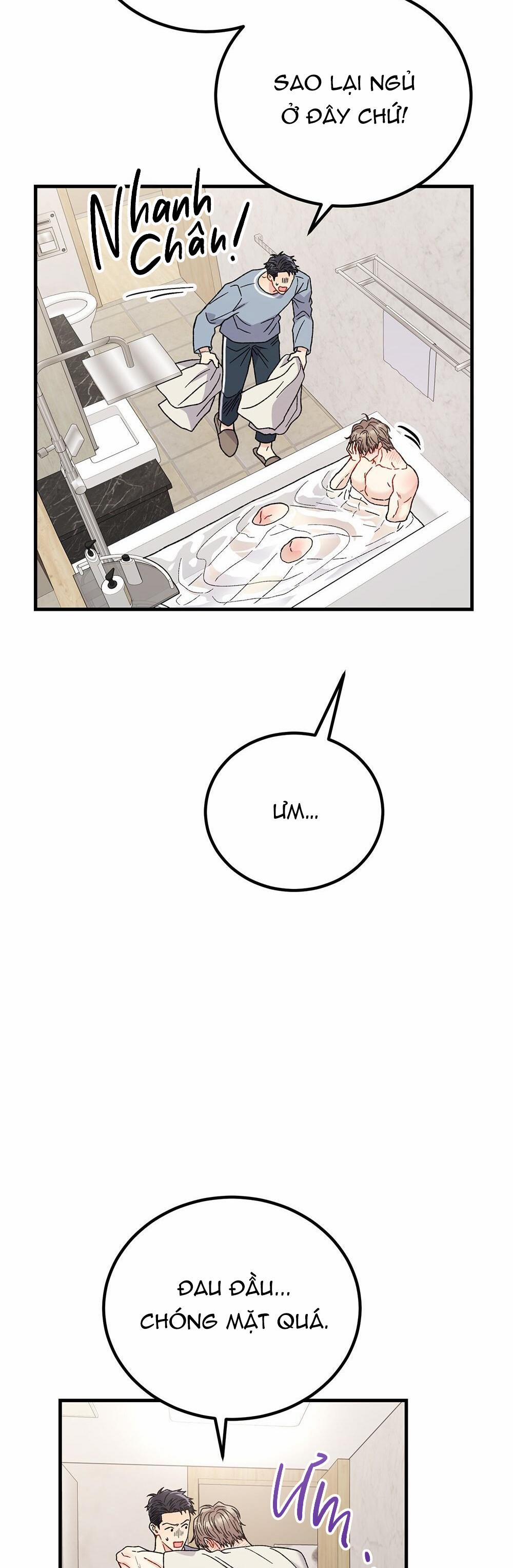 Cậu Không Phải Là Gu Của Tôi 17 trang 5