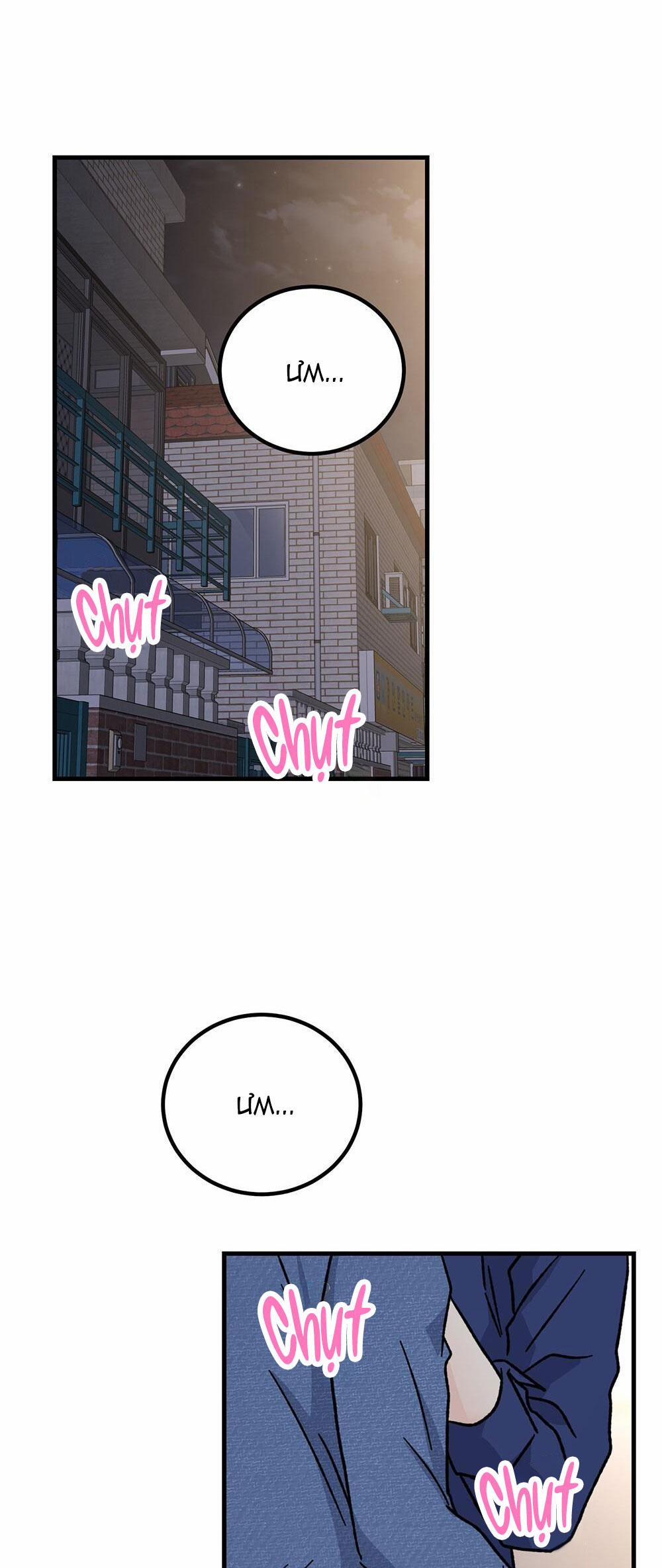 Cậu Không Phải Là Gu Của Tôi 25 trang 62