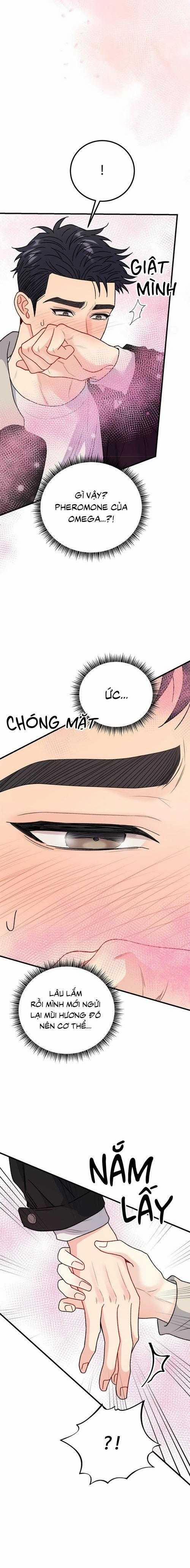 Cậu Không Phải Là Gu Của Tôi 37 trang 7