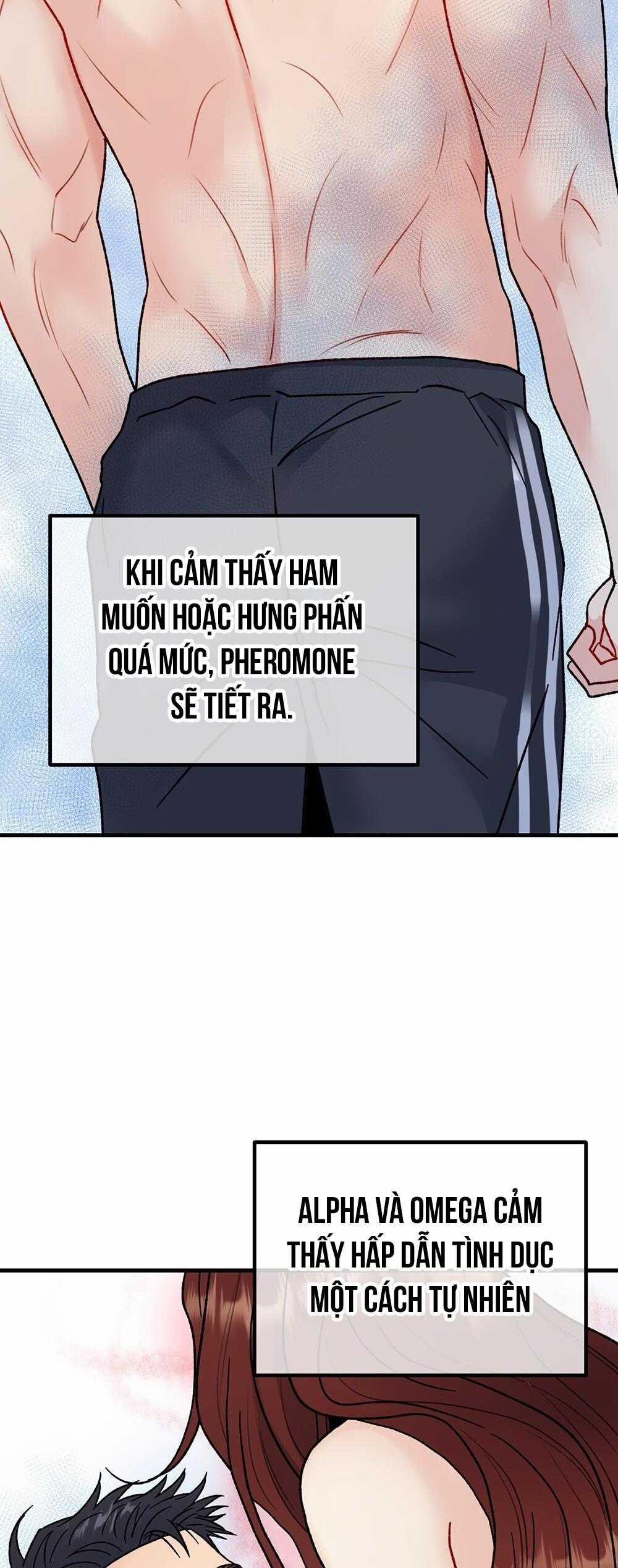 Cậu Không Phải Là Gu Của Tôi 40 trang 1