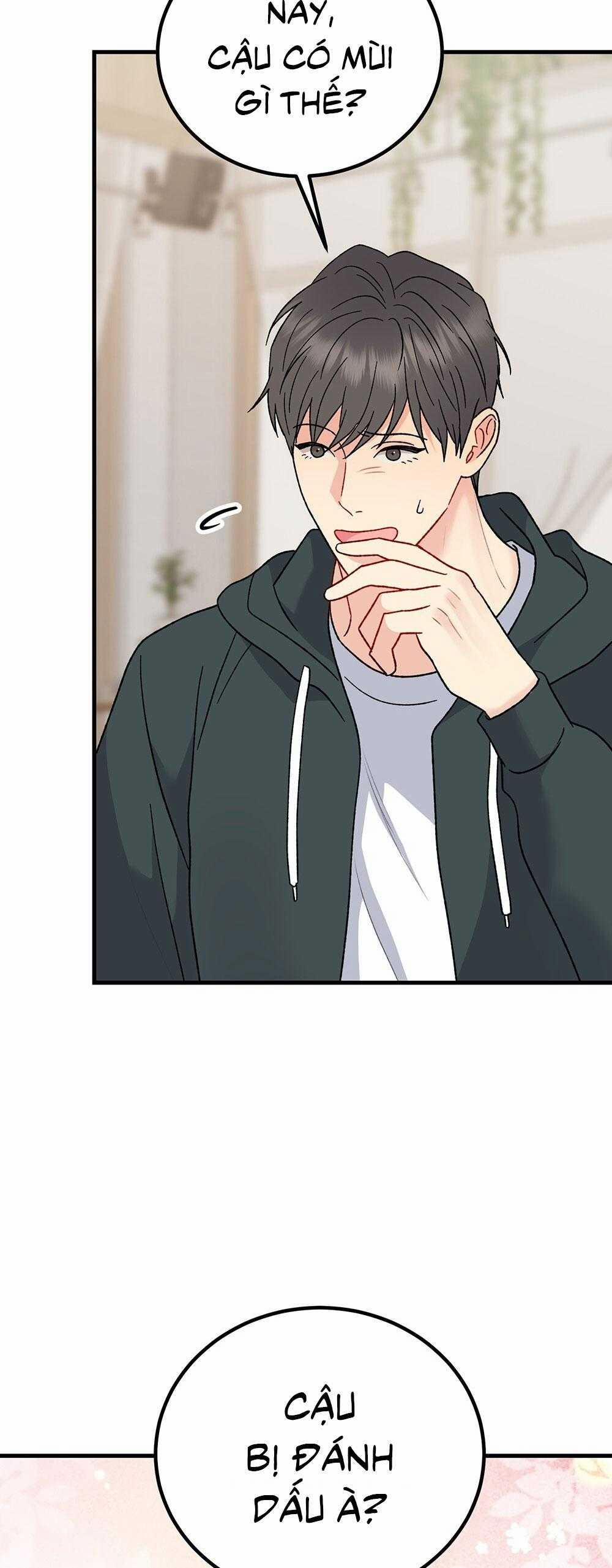 Cậu Không Phải Là Gu Của Tôi 41 trang 19