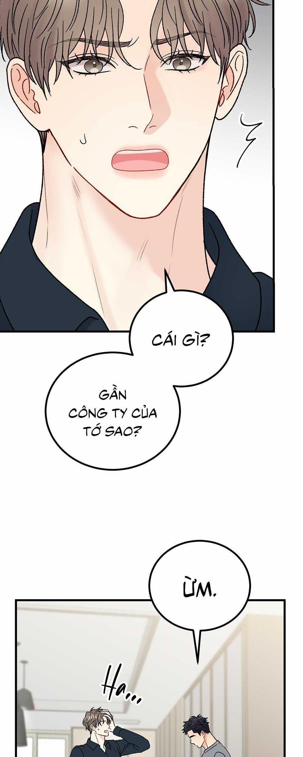 Cậu Không Phải Là Gu Của Tôi 42 trang 6