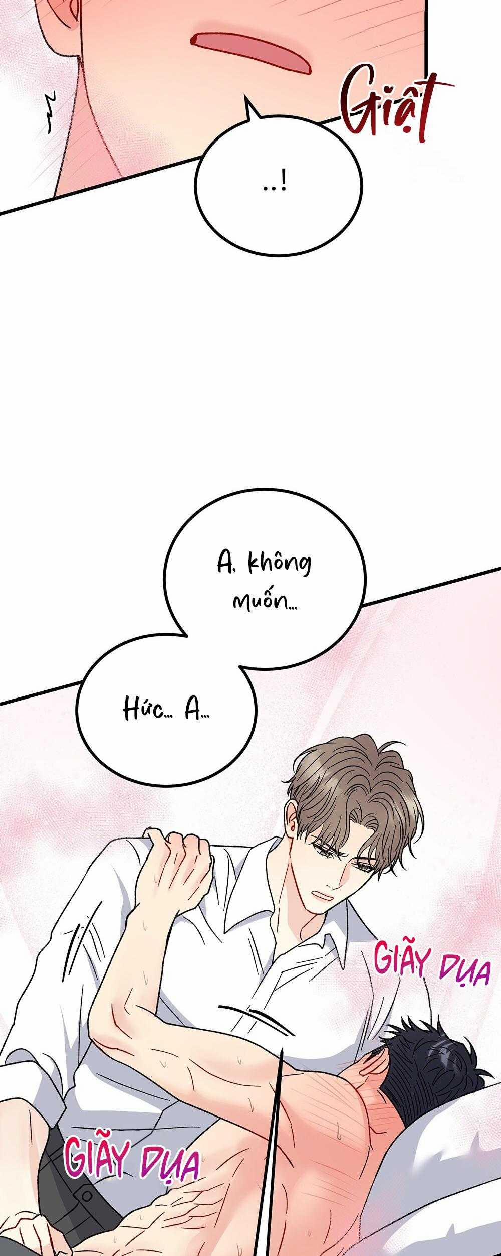 Cậu Không Phải Là Gu Của Tôi 43 trang 33