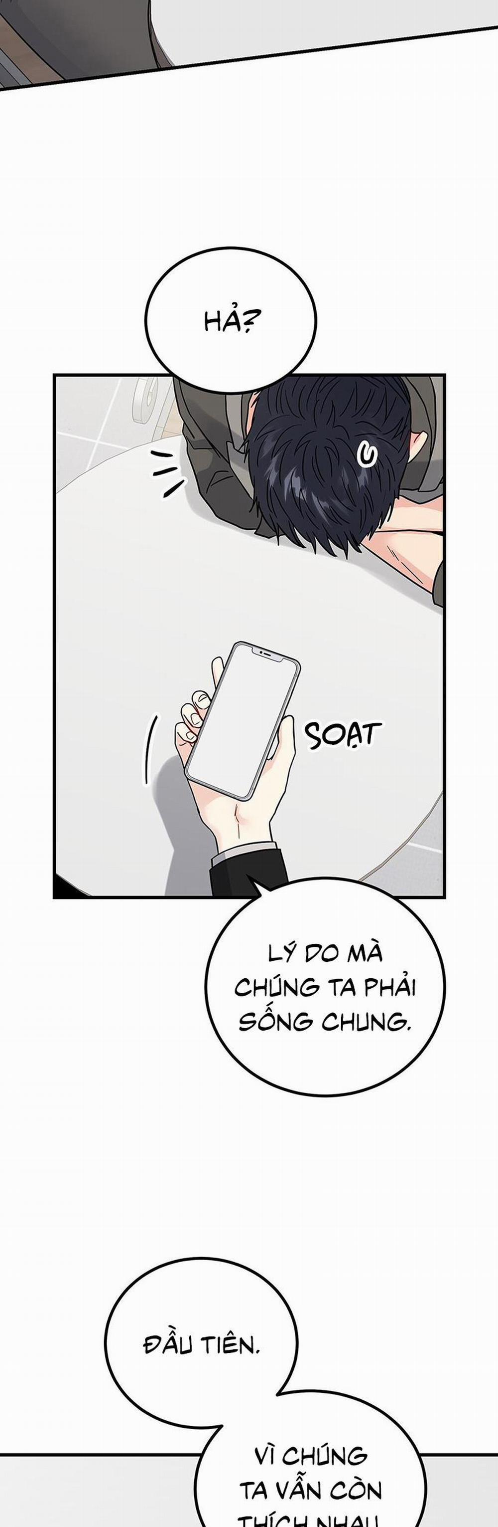 Cậu Không Phải Là Gu Của Tôi 47 trang 15