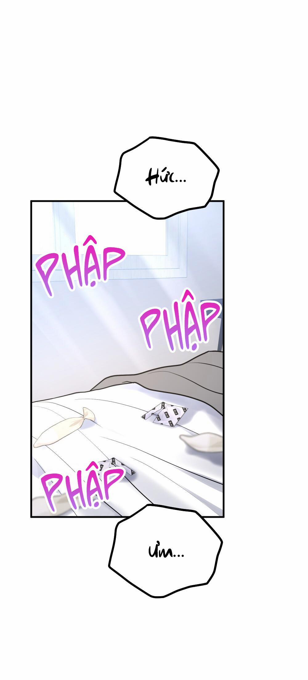 Cậu Không Phải Là Gu Của Tôi 52 END trang 1