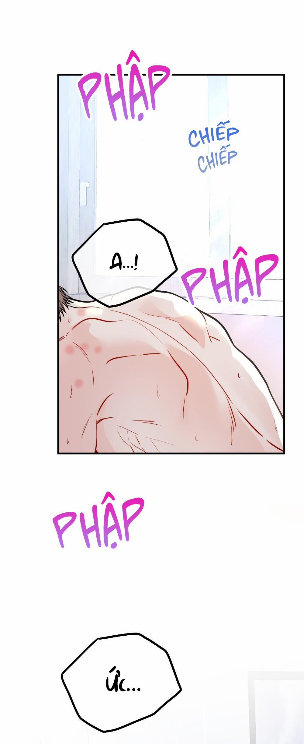 Cậu Không Phải Là Gu Của Tôi 52 END trang 2