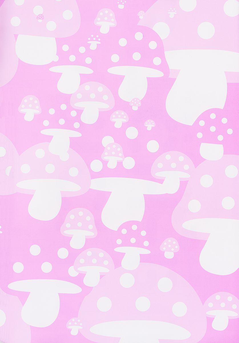 Câu Lạc Bộ Nhiếp Ảnh 8.6 trang 2